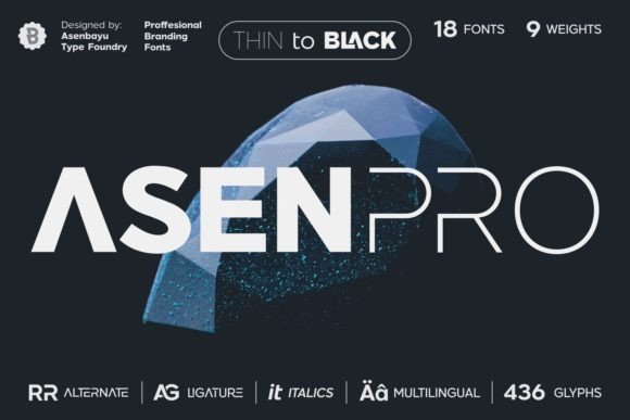 Asen Pro: Balancing Professionalism with Approachable Style